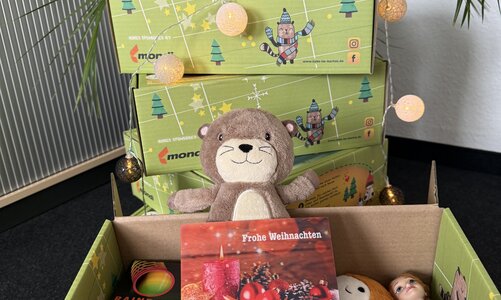 Grüne Pakete gepackt mit Süßigkeiten und anderen nützlichen Dingen.