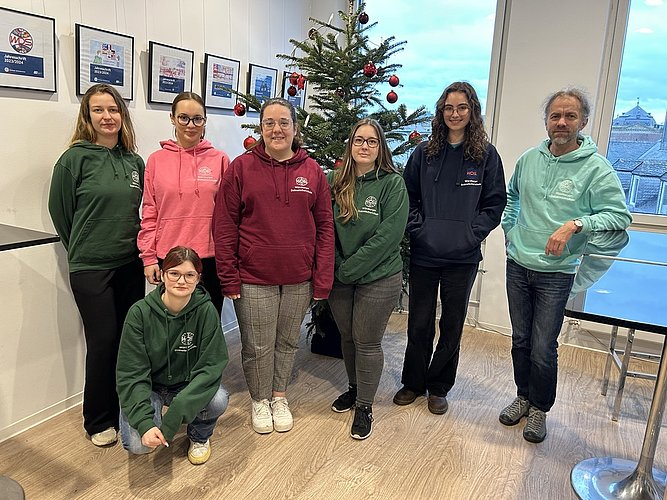Eine Gruppe von Schülerinnen und Lehrkräften hat sich für ein Gruppenbild vor einem Weihnachtsbaum positioniert. Sie präsentieren verschiedene WDS Hoodies.
